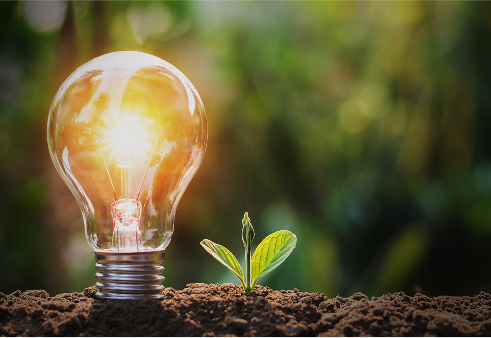 Máy nén khí DREAM